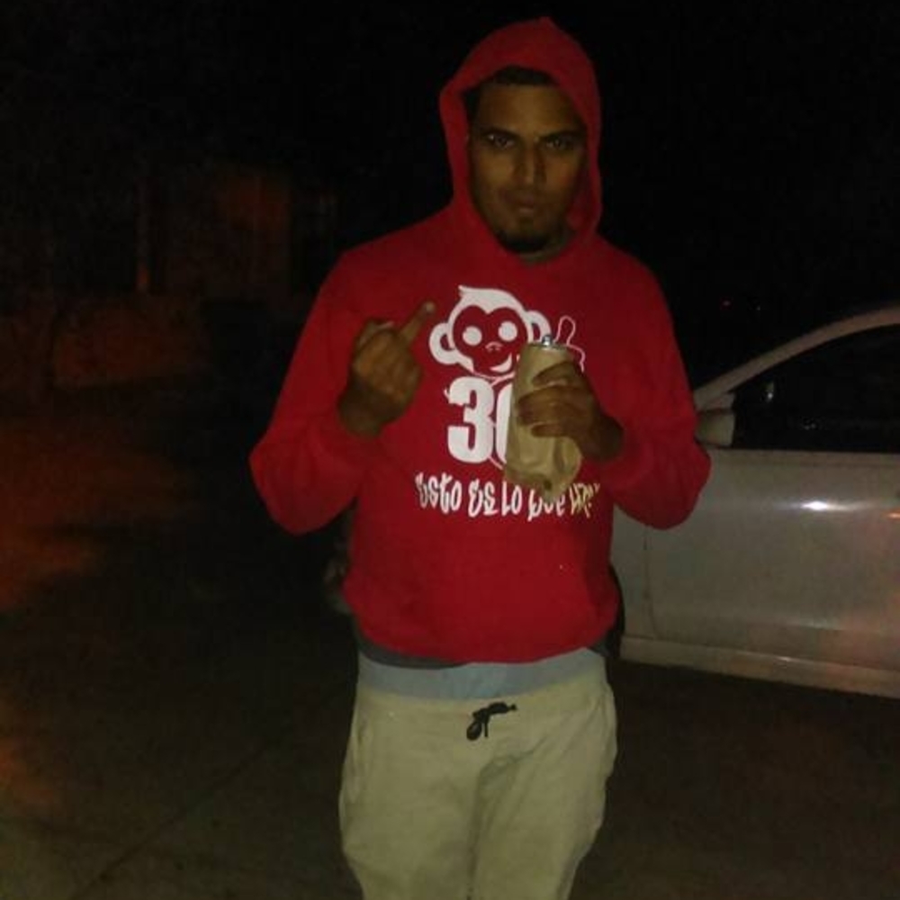 Meet your Posher, Hector